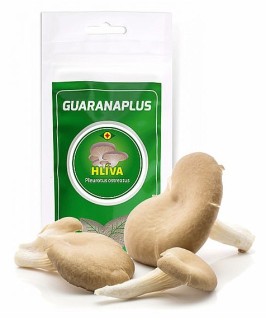 GuaranaPlus Austernpilzpulver 75 g